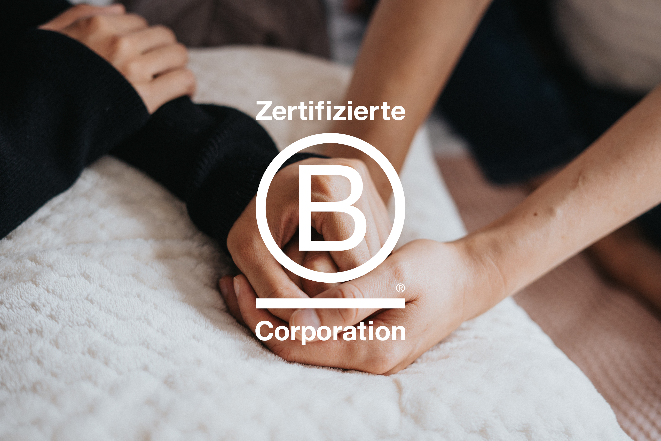 hintergrundbild clariti ist ein zertifiziertes B Corp Unternehmen